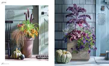 Better Homes & Gardens October 2023 Magazine Article: Page 56