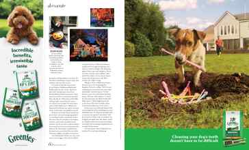 Better Homes & Gardens October 2023 Magazine Article: Page 60