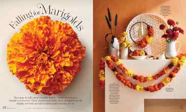 Better Homes & Gardens October 2023 Magazine Article: Falling for Marigolds