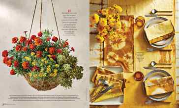 Better Homes & Gardens October 2023 Magazine Article: Page 90