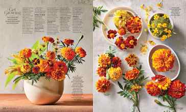 Better Homes & Gardens October 2023 Magazine Article: Page 92