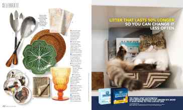 Better Homes & Gardens November 2023 Magazine Article: Page 22