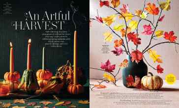 Better Homes & Gardens November 2023 Magazine Article: An Artful HARVEST