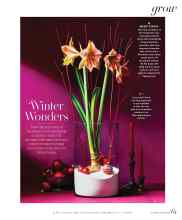 Better Homes & Gardens December 2023 Magazine Article: Winter Wonders