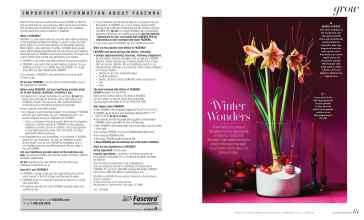 Better Homes & Gardens December 2023 Magazine Article: Page 60