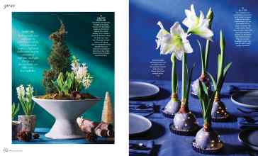 Better Homes & Gardens December 2023 Magazine Article: Page 62