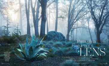 Better Homes & Gardens January/February 2024 Magazine Article: Through a Gardeners LENS