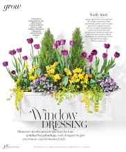 Better Homes & Gardens March 2024 Magazine Article: Window DRESSING