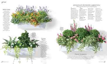 Better Homes & Gardens March 2024 Magazine Article: Page 40