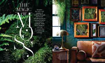 Better Homes & Gardens March 2024 Magazine Article: THE MAGIC OF MOSS