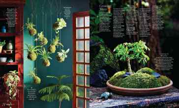 Better Homes & Gardens March 2024 Magazine Article: Page 74