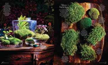 Better Homes & Gardens March 2024 Magazine Article: Page 76