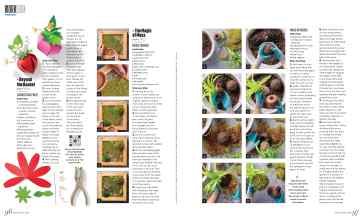 Better Homes & Gardens March 2024 Magazine Article: The Magic of Moss