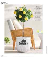 Better Homes & Gardens April 2024 Magazine Article: Living Sculpture