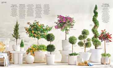 Better Homes & Gardens April 2024 Magazine Article: Page 44