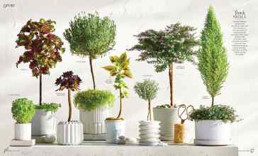 Better Homes & Gardens April 2024 Magazine Article: Page 46