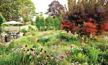 Better Homes & Gardens April 2024 Magazine Article: Page 74