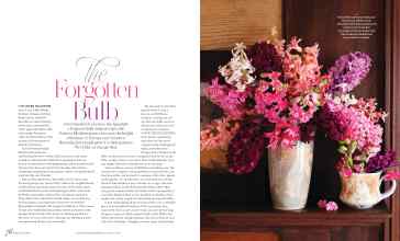 Better Homes & Gardens April 2024 Magazine Article: The Forgotten Bulb