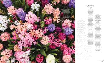 Better Homes & Gardens April 2024 Magazine Article: Page 78