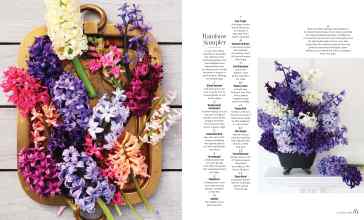 Better Homes & Gardens April 2024 Magazine Article: Page 80