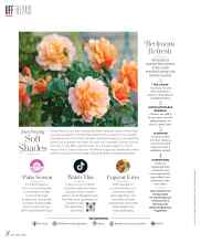 Better Homes & Gardens May 2024 Magazine Article: Soft Shades