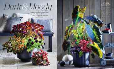 Better Homes & Gardens June 2024 Magazine Article: Dark & Moody