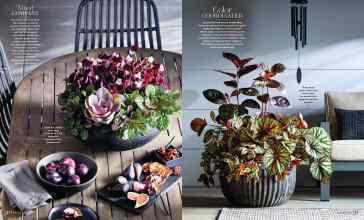 Better Homes & Gardens June 2024 Magazine Article: Page 90