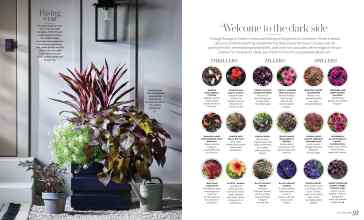 Better Homes & Gardens June 2024 Magazine Article: Page 92