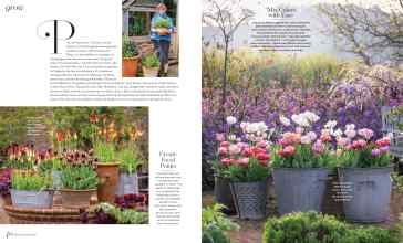 Better Homes & Gardens September 2024 Magazine Article: Page 40