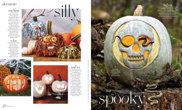 Better Homes & Gardens October 2024 Magazine Article: Page 46