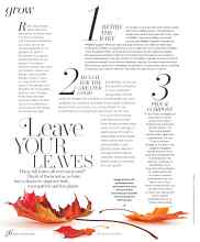 Better Homes & Gardens November 2024 Magazine Article: Leave YOUR LEAVES