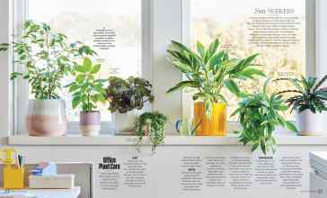 Better Homes & Gardens January/February 2025 Magazine Article: Page 22