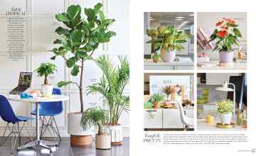 Better Homes & Gardens January/February 2025 Magazine Article: Page 24