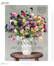 Better Homes & Gardens March 2025 Magazine Article: PANSIES