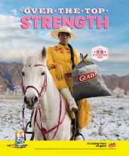 Better Homes & Gardens March 2025 Magazine Article: Page 102