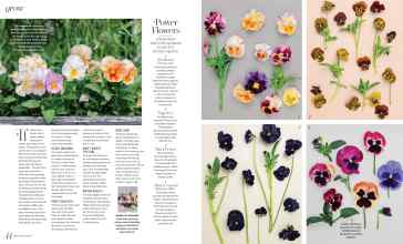 Better Homes & Gardens March 2025 Magazine Article: Page 44