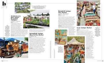 Better Homes & Gardens April 2025 Magazine Article: Page 24