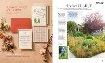 Better Homes & Gardens April 2025 Magazine Article: Page 38