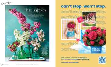 Better Homes & Gardens April 2025 Magazine Article: Page 50