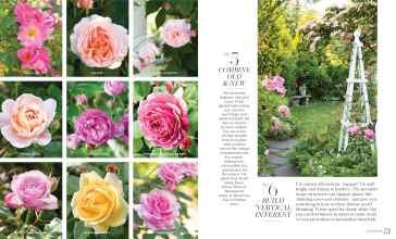 Better Homes & Gardens April 2025 Magazine Article: Page 72