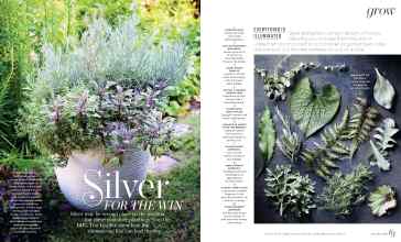 Better Homes & Gardens June 2025 Magazine Article: Silver FOR THE WIN