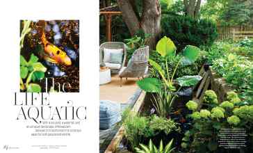 Better Homes & Gardens June 2025 Magazine Article: The LIFE AQUATIC