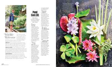 Better Homes & Gardens June 2025 Magazine Article: Page 88