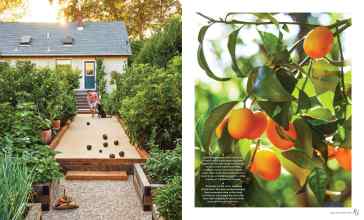 Better Homes & Gardens July/August 2025 Magazine Article: Page 84