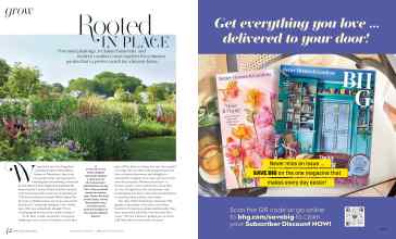 Better Homes & Gardens July/August 2025 Magazine Article: Page 42