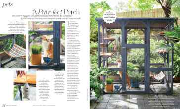 Better Homes & Gardens July/August 2025 Magazine Article: A Purr-fect Perch