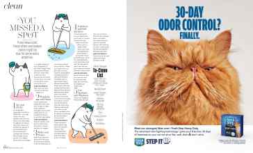 Better Homes & Gardens September 2025 Magazine Article: Page 60