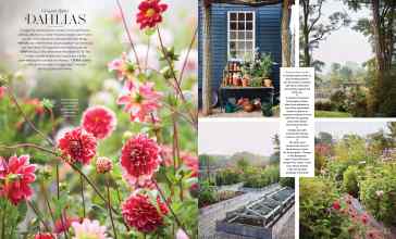 Better Homes & Gardens September 2025 Magazine Article: Page 74
