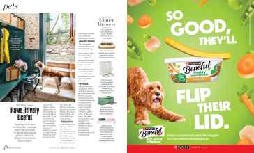 Better Homes & Gardens October 2025 Magazine Article: Page 48