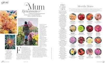 Better Homes & Gardens November 2025 Magazine Article: Mum Renaissance